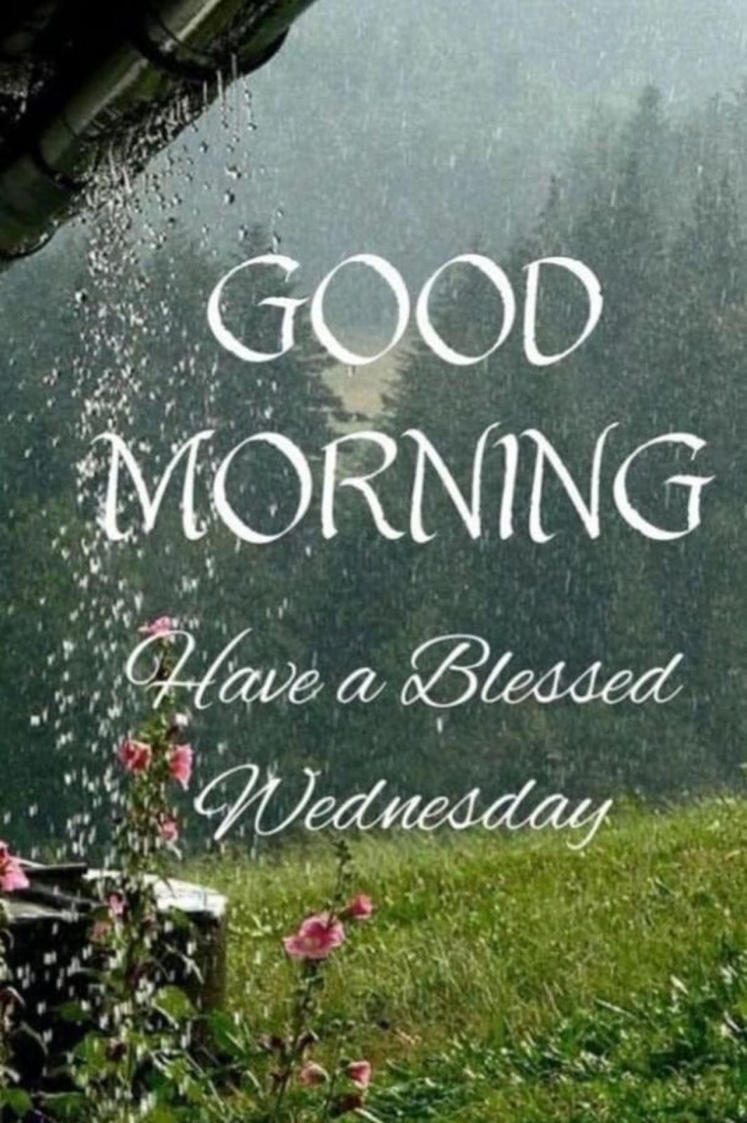 70+ Best Wednesday Morning Blessings to Kickstart Your Day